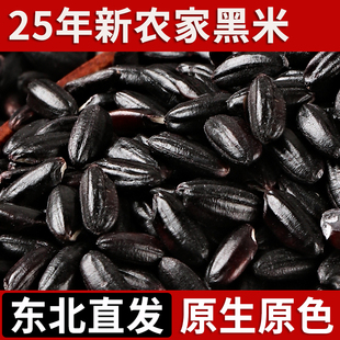 东北黑米25年农家新米黑香米自种五谷杂粮糙米粗粮饭团粥原料