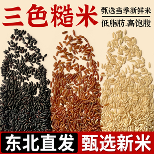 三色糙米胚芽米25年农家新米低脂粗粮饭团主食黑米红米糙米组合