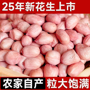 新鲜白沙花生米25年东北农家新货不带壳红粉皮大粒花生仁散装 商用