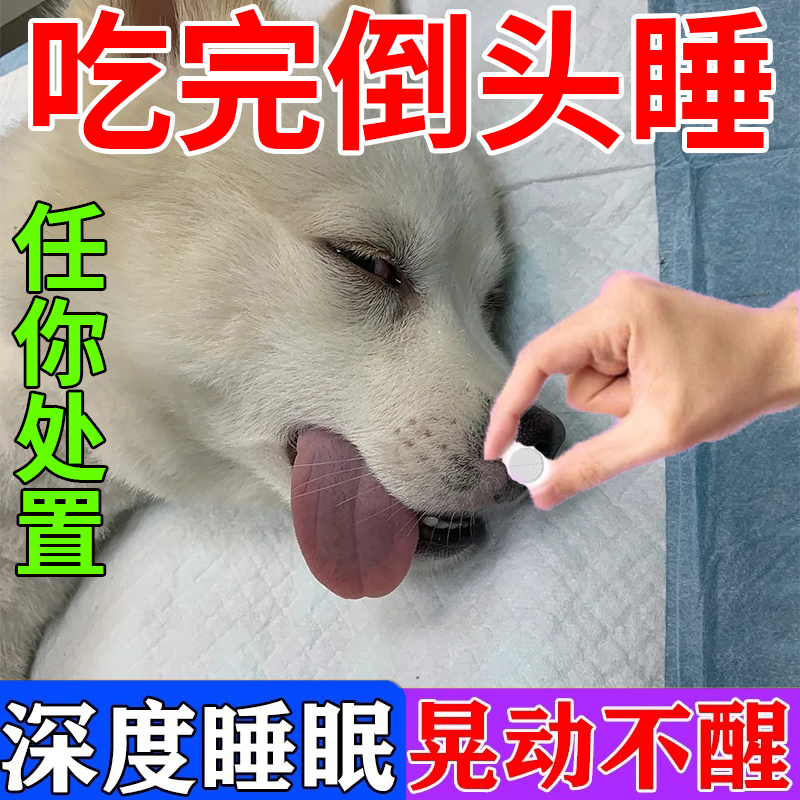 狗狗瞌睡药一吃就睡任你摆布