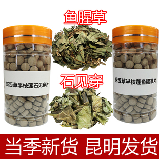 蛇舌草半枝莲石见穿鱼腥草片云南白花蛇舌草半枝莲石见穿鱼腥草