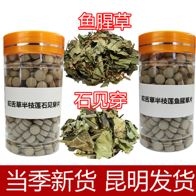 蛇舌草半枝莲石见穿鱼腥草片云南白花蛇舌草半枝莲石见穿鱼腥草