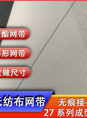 聚酯网带无纺布成型网输送网带27254无无痕接头传送带