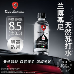 兰博基尼克东天然弱碱苏打水0糖0气0卡0脂高端碱性饮用水330ml/瓶