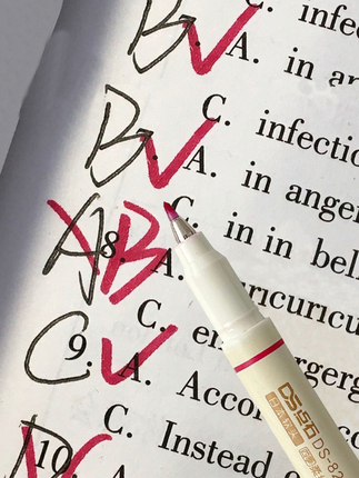 Red Series Pens from Dianshi, Same Style as on Xiaohongshu, Red Pens for Correcting Homework, Ins-Style Burgundy Red, Student Writing Pens, Direct Liquid Vintage Red, Dark Red Pens