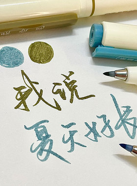 点石DS柔绘彩色简约高颜值ins秀丽笔红色批改作业醒目学生党必备韩系手账笔小楷弹软头勾线笔