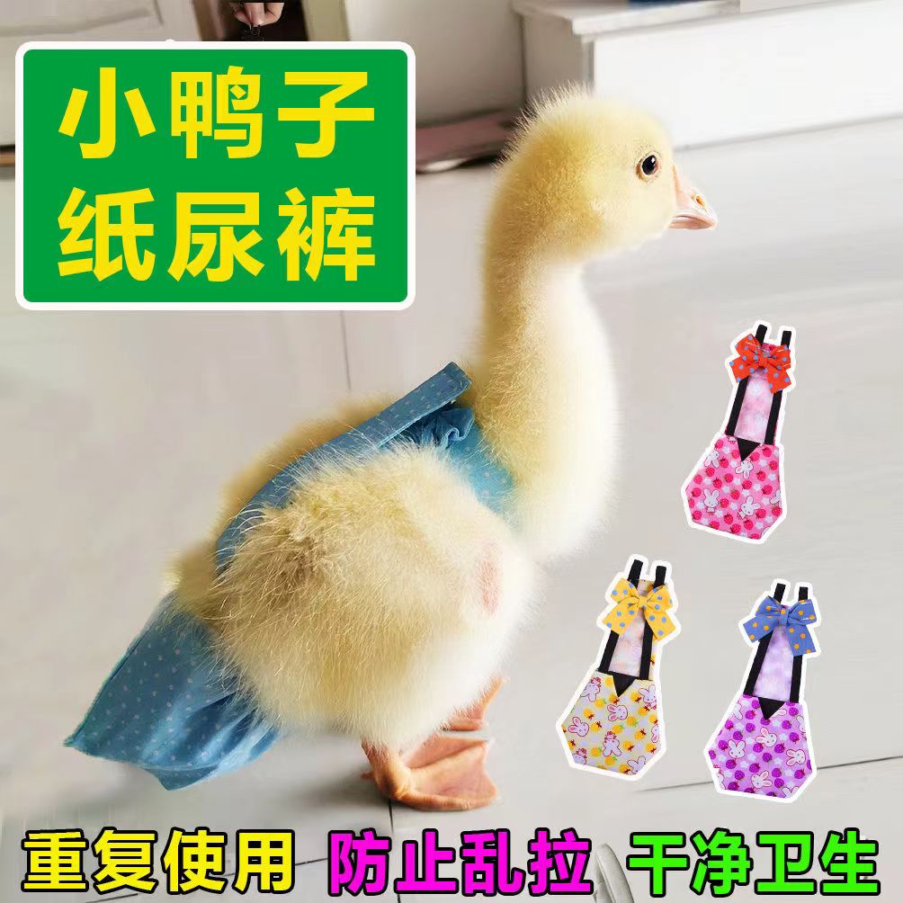 鸭子屎兜粪兜柯尔鸭屎兜鸭子粪便兜尿不湿鸭子纸尿裤兜宠物鹅衣服