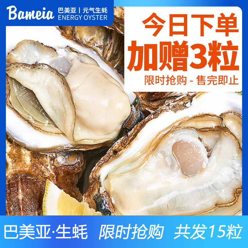 巴美亚刺身高端生蚝整箱鲜活新鲜海蛎子12粒带箱海鲜牡蛎贝壳水产