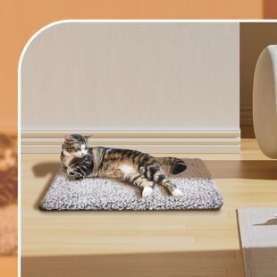 宠物加热垫小型蓄热毯取暖恒温防水猫窝狗狗猫咪自发热垫子