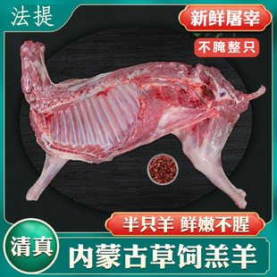 清真节日食品新鲜全羊整只绵羊半只1一只整羊烧烤生鲜内蒙古羊肉
