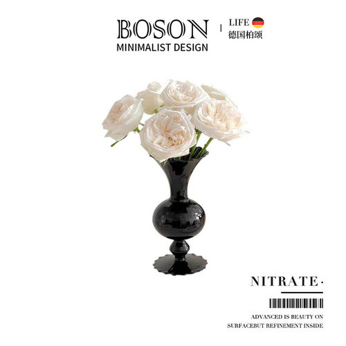 BOSON·Nitrate·花瓶中古玻璃水培鲜花插花器客厅家居摆饰 |黑硝