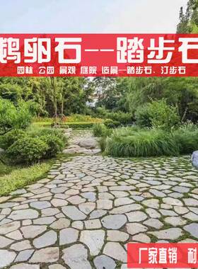 花园草坪踏步石户外天然庭院