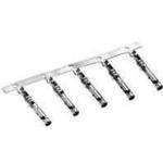 安波福连接器端子 12129498全新原装 优势热卖旺旺询价