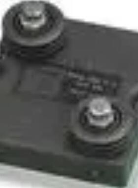 ZF进口 翘板开关 LRA22H2BBRLN原装优势热卖 旺旺询价