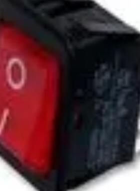 进口 按钮开关C1353VQNAM原装优势热卖 旺旺询价