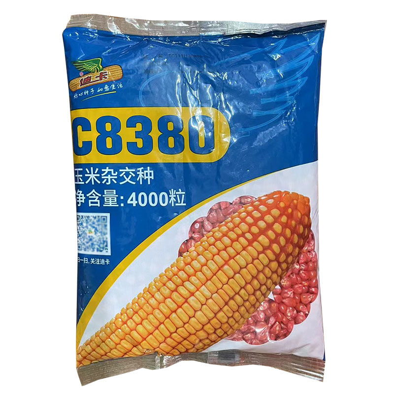 迪卡c8380玉米杂交种子高抗大棒抗病抗倒伏高产玉米种籽