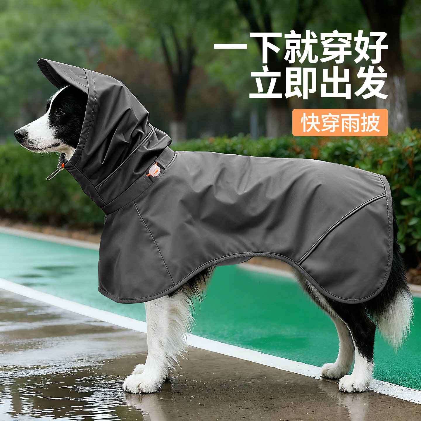 大狗狗雨衣防水衣服大型犬冲锋衣金毛边牧防脏宠物分体式快穿雨披