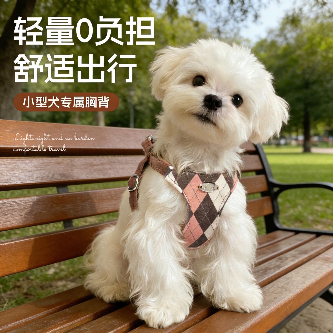 棉柔舒适0负担小狗胸背图片