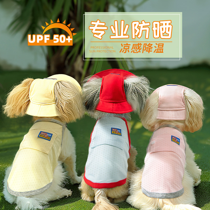 2025新款薄款泰迪博美春装夏款