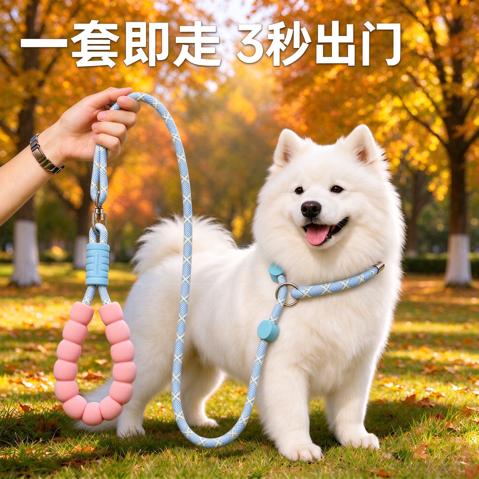p绳p链狗狗牵引绳防爆冲防挣脱小中大型犬萨摩耶遛狗训狗绳子夏季
