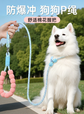 p绳p链狗狗牵引绳防爆冲防挣脱小中大型犬萨摩耶遛狗训狗绳子耐咬