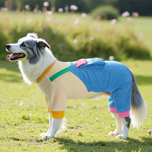 金毛巨贵中大型犬拉布拉多边牧防脏四脚宠物秋季 大狗狗衣服春秋款
