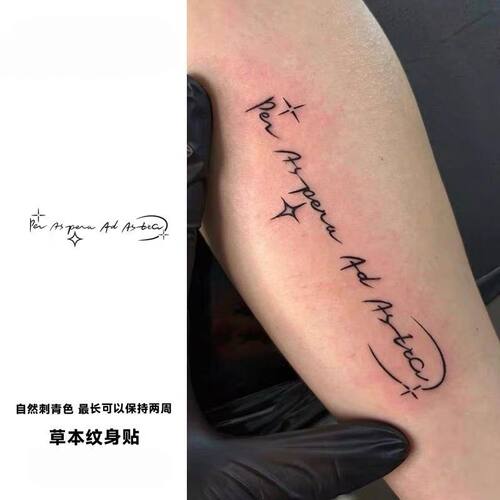 穿越逆境直抵繁星李现同款草本纹身贴防水刺青色潮酷小众手臂贴纸