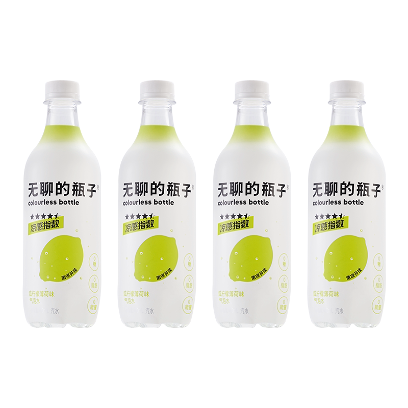 无聊的瓶子康普茶益生菌慢发酵