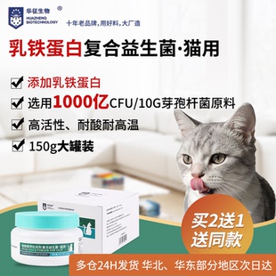 猫咪复合活性益生菌添加乳铁蛋白调理肠道菌群大罐装华征生物