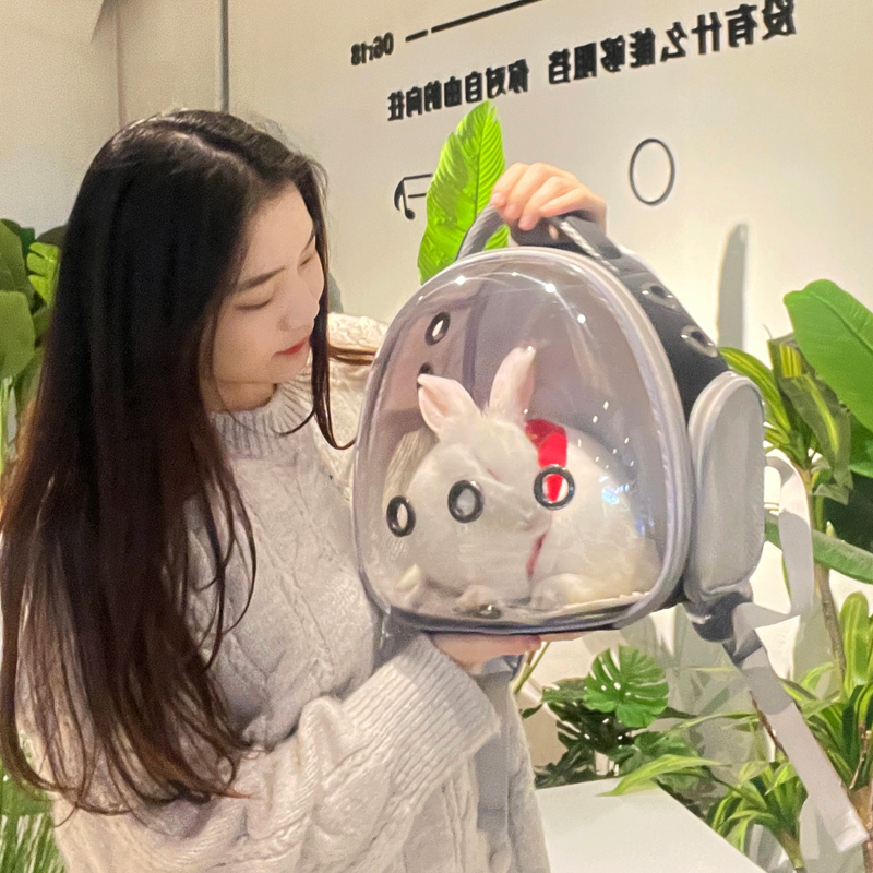 兔子外出专用包小型宠物背仓鼠龙猫金丝熊花枝鼠鹦鹉鸟包携带迷你