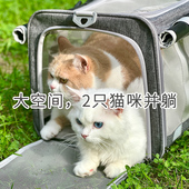 大号车载猫咪外出包猫包外带便携狗猫书包手提袋猫背包冬天 2只 装
