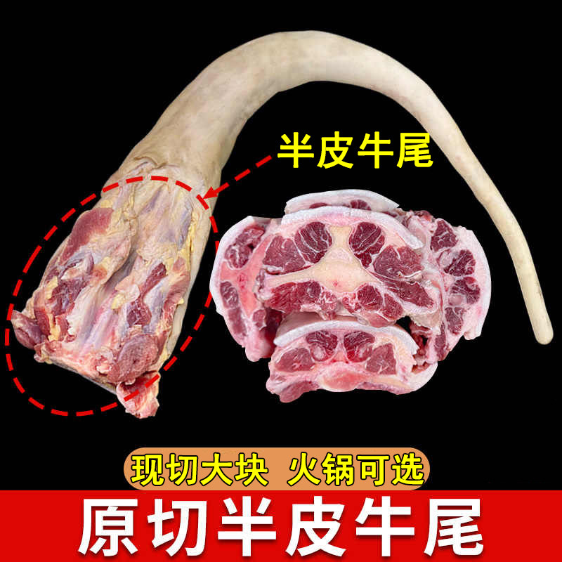 新鲜现杀半皮牛尾巴带皮牛尾农家散养黄牛尾巴生牛肉红烧火锅食材