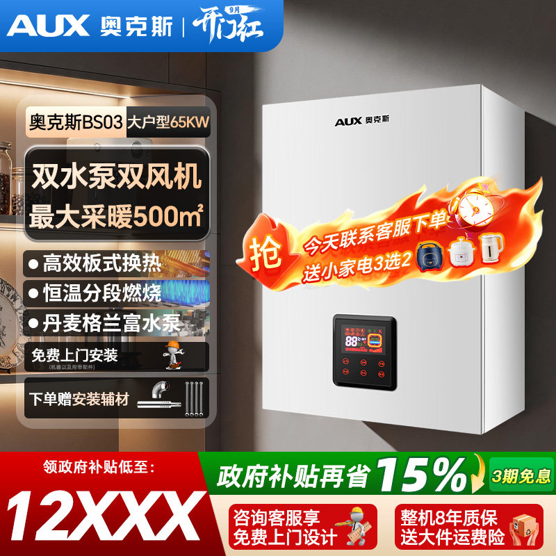 别墅大户型大面积采暖500平锅炉图片