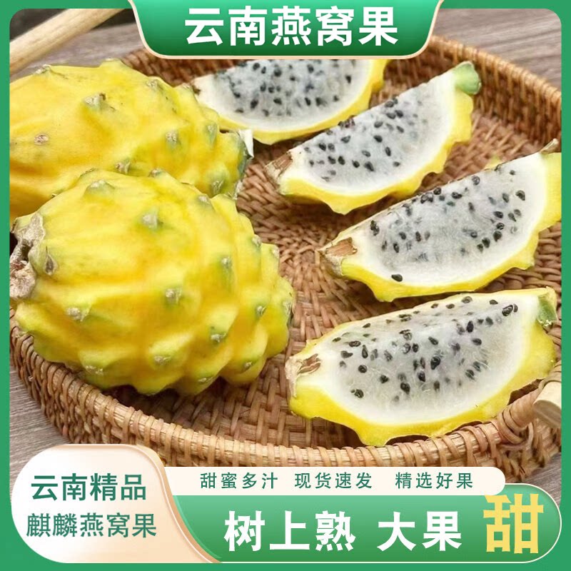 新鲜现摘冰糖高端燕窝果麒麟果热带水果黄皮火龙果甜孕妇水果