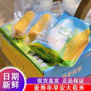 东北麦秀年早安大苞米200g 10支24年新糯玉米真空装