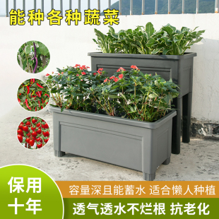 家庭阳台种菜盆楼顶蔬菜种植箱长方形塑料花盆室内懒人带脚花箱