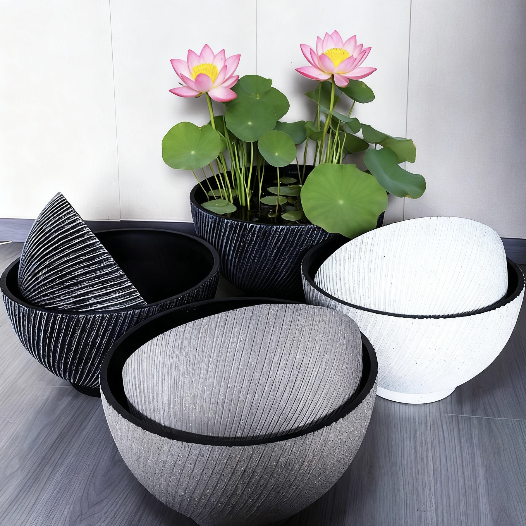 圆形塑料花盆加厚耐用大口径荷花睡莲碗莲铜钱草水培器皿养鱼缸,鲜花速递/花卉仿真/绿植园艺,花盆,淘宝优惠券,粉丝福利购,淘宝优惠卷