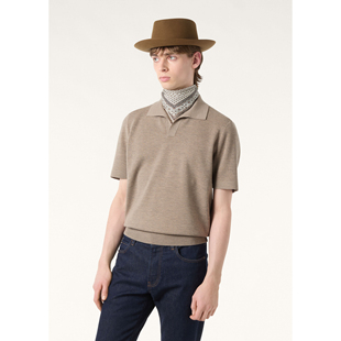 老钱风LP羊毛海鸥领POLO衫商务休闲百搭针织上衣T恤26年新款男