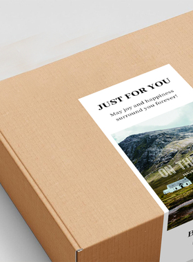 gytz6788高级感森系唯美插画ins极简约通用超大不干胶贴纸封口贴