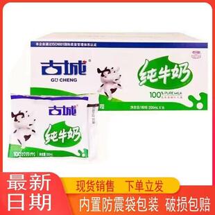 山西土特产古城纯牛奶整箱200ml百利包袋装早餐奶200ml*16/箱包邮