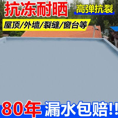 盛威特屋顶补漏专用防水涂料