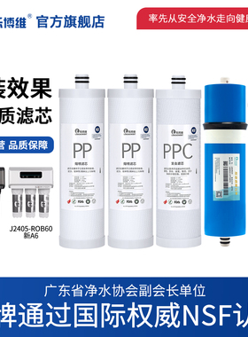 乐博维滤芯适用安吉尔新A6净水器A8J2405-ROB60/V2PLUS陶氏500G膜