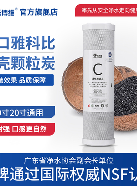 10寸CTO压缩活性炭椰壳净水器滤芯纯水机过滤器碳棒滤芯20寸通用