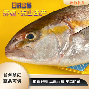 冰鲜章红鱼刺身级别整条冰鲜发货日料刺身食材称重计价可加工