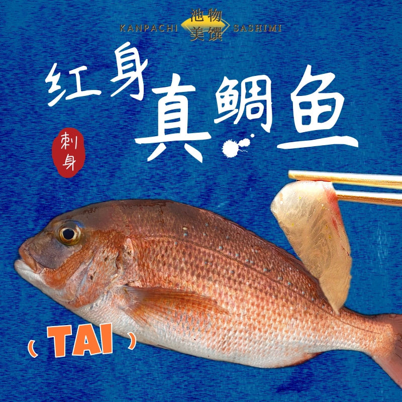 真鲷刺身300g 台海养殖真鲷鱼片日料寿司刺身品质鲜美冰鲜现切