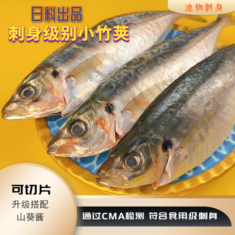 【刺身级-小竹荚鱼】需订现抓冰鲜小竹荚鱼刺身级出品可帮处理