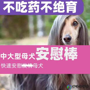 中大型成犬母犬玩具发情发泄母犬性发泄安慰棒禁情母犬专用狗发情