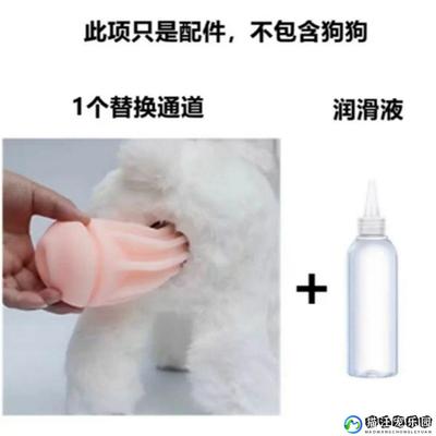 狗狗发情期玩具公狗交配