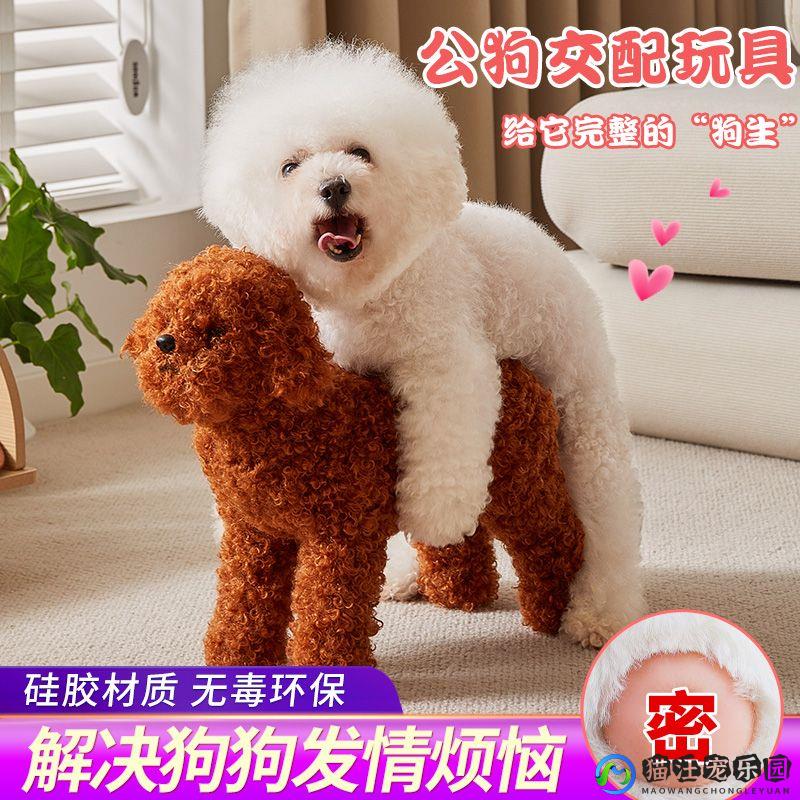 公狗交配玩具狗狗发情期仿真泰迪比熊发泄神器宠物泻火性伴侣玩偶