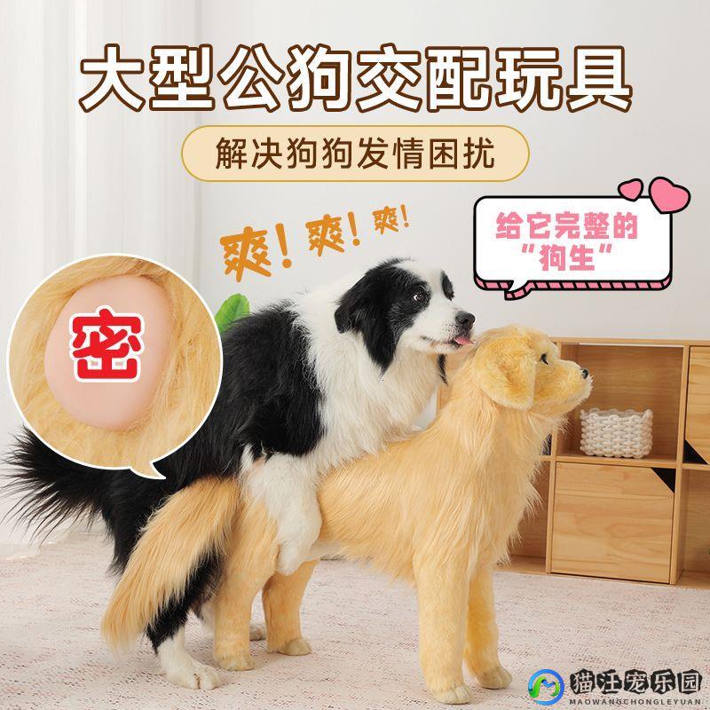 大型犬交配发泄玩具女朋